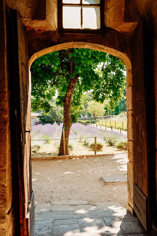 DSC03152