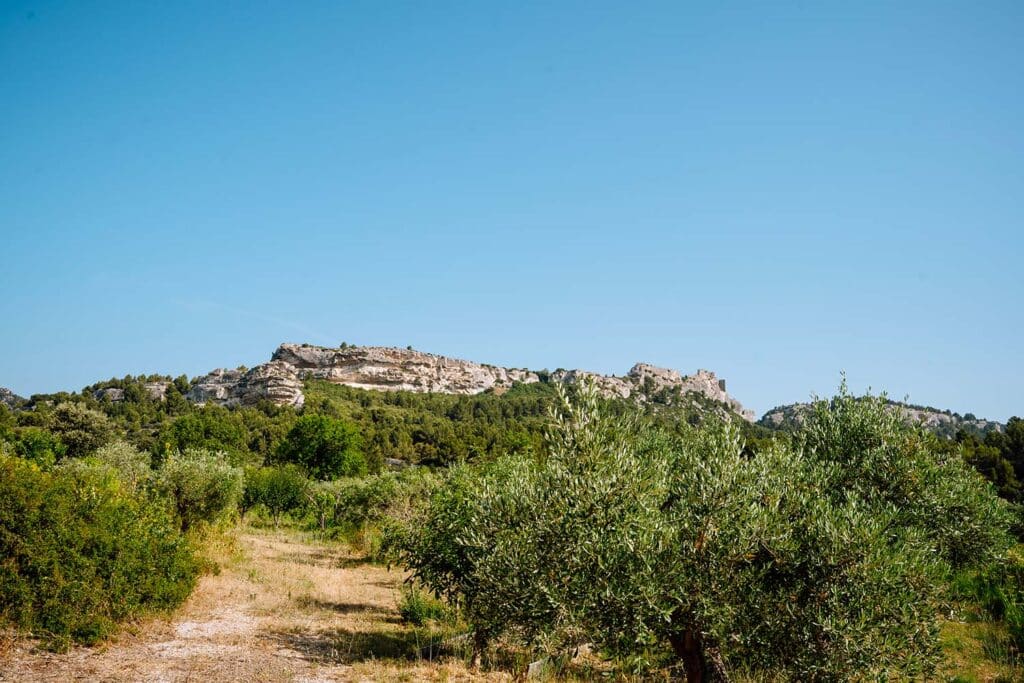 Visiter les Alpilles : 3 jours au coeur de la Provence