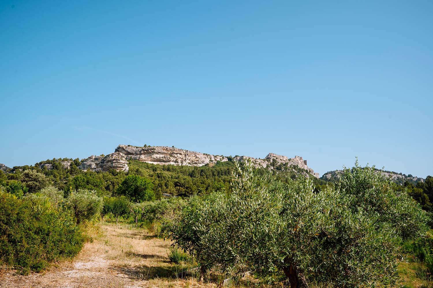 Visiter les Alpilles : 3 jours au coeur de la Provence