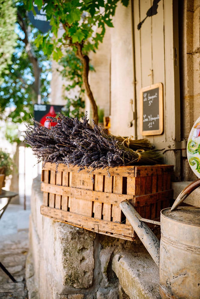 Lavande aux Baux-de-Provence