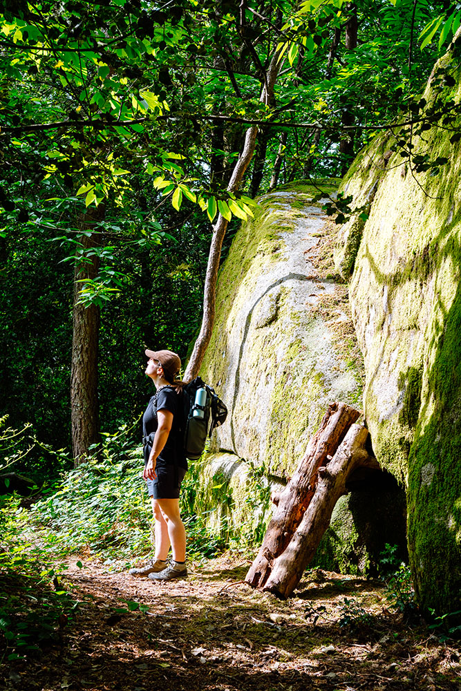 Sentier forestier dans le Sidobre