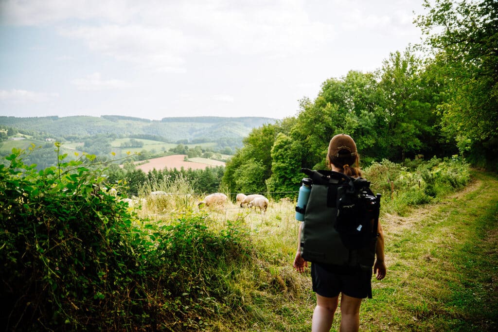 Vue sur la campagne et les champs du Sidobre