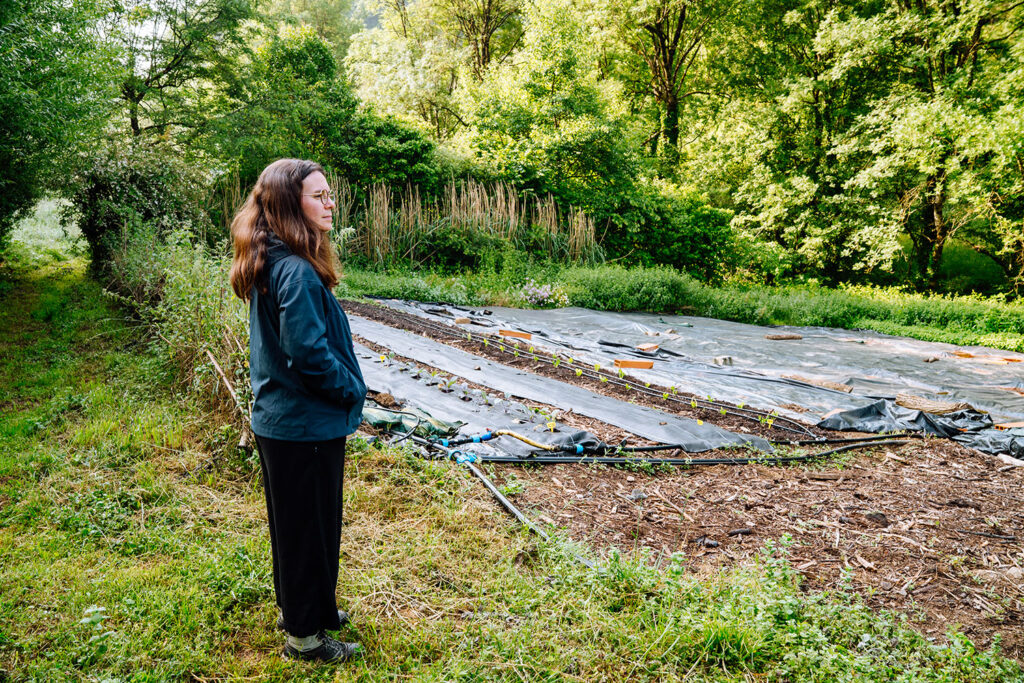 Vue sur un potager dans le Tarn