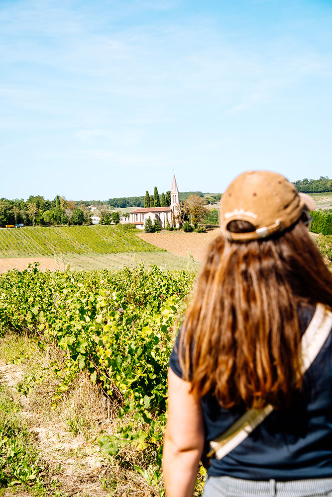 Vue sur les vignes de La Ronde des Vignerons
